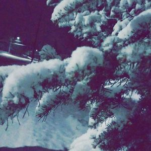 Meet your Posher, Cleo